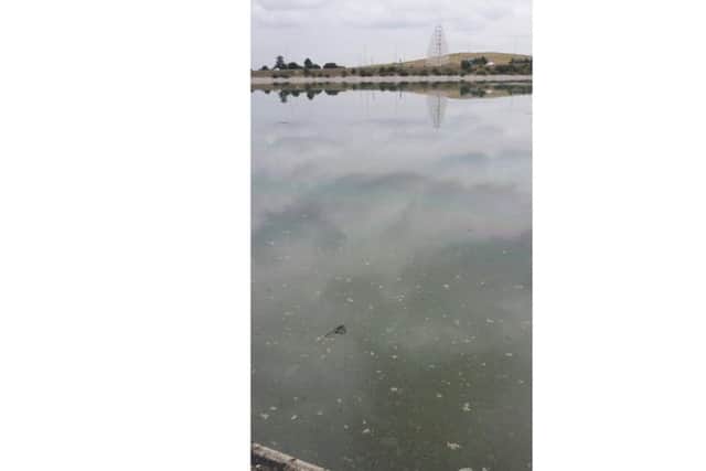 A fuel spill in Tipner Lake Picture: Michal Kubica