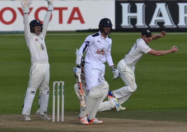 Ryan McLaren (0) is bowled LBW by Ryan Pringle Picture: Neil Marshall