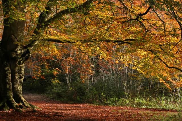 Autumn is drawing in