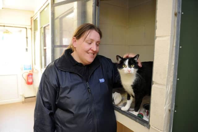 Marianne Thompson, the Stubbington Ark's head of cattery ,with Harry