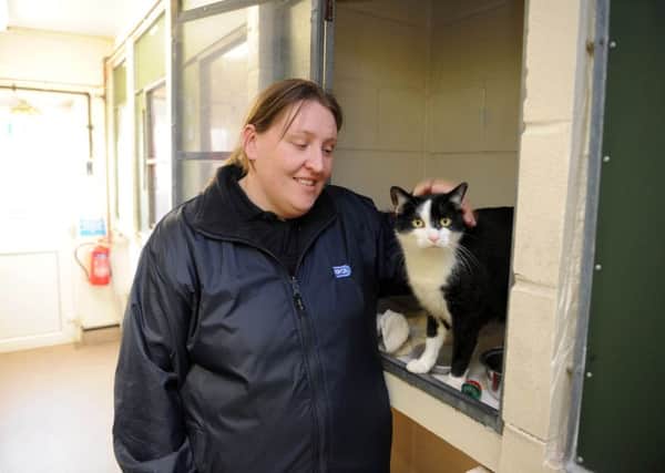 Marianne Thompson, the Stubbington Ark's head of cattery ,with Harry