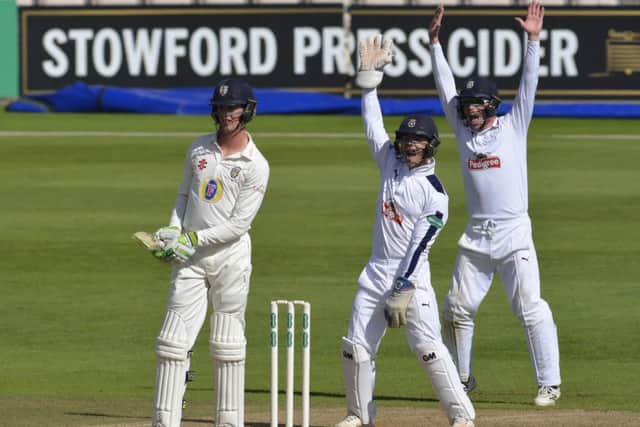 Hampshire are staying up. Picture: Neil Marshall