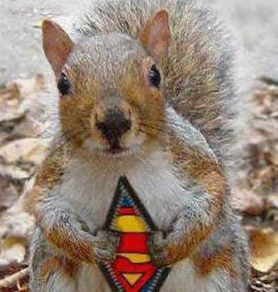 Watch your bulbs when Supersquirrel is about.