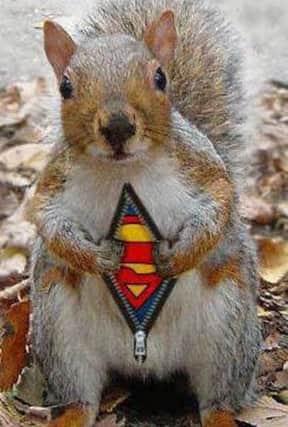 Watch your bulbs when Supersquirrel is about.