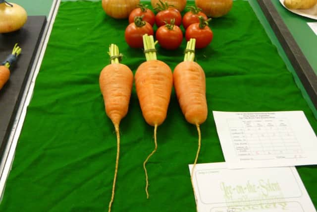 Some cracking carrots in the Lee-on-the-Solent autumn horticultural show