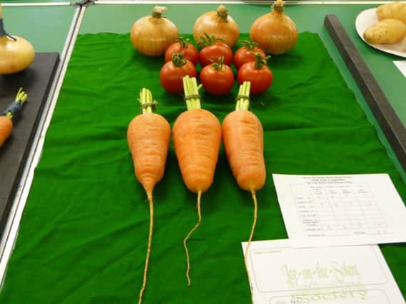 Some cracking carrots in the Lee-on-the-Solent autumn horticultural show
