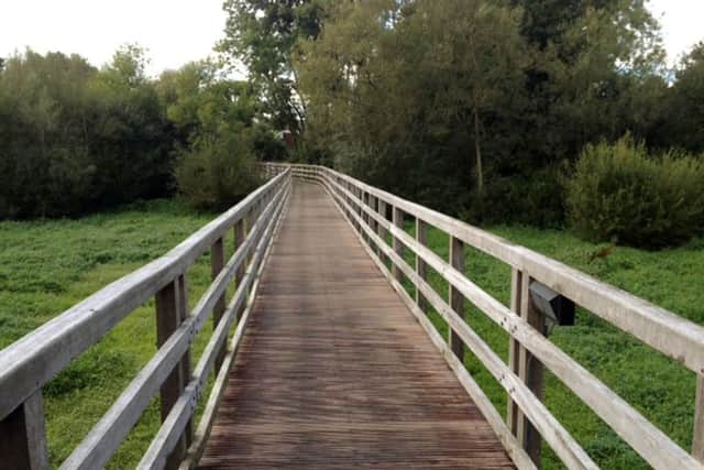 The improved footbridge at North Pond, Bishops Waltham
