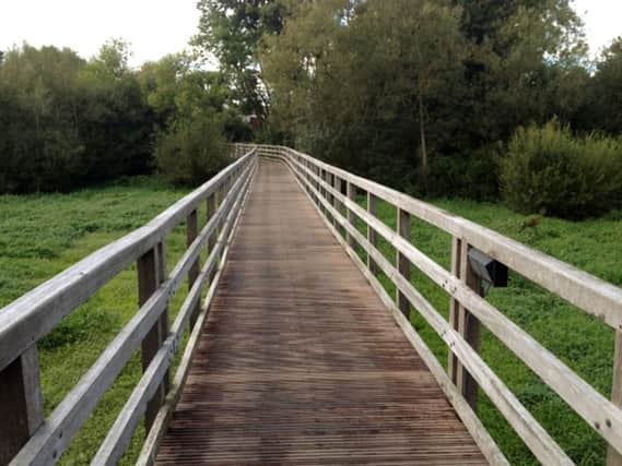 The improved footbridge at North Pond, Bishops Waltham