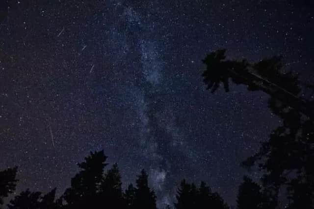 Dont miss Halleys Comet