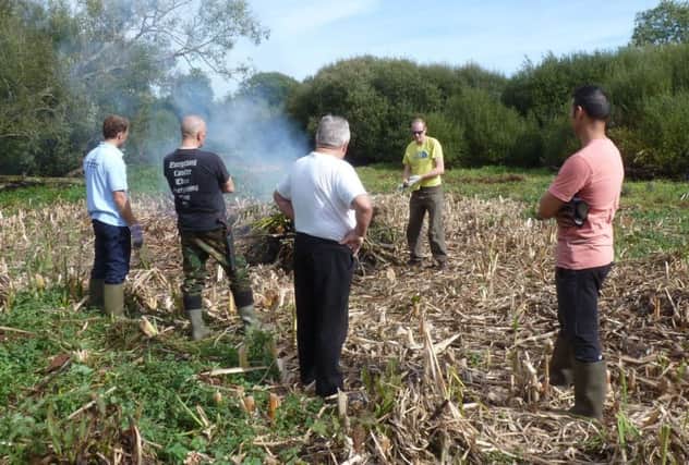 Volunteers have been working hard throughout the year at the North Pond site