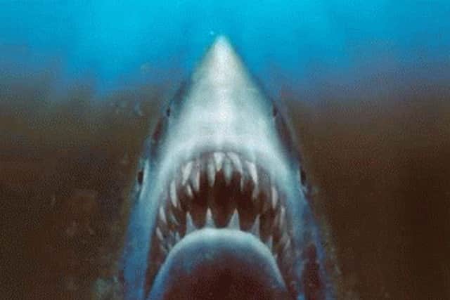 Jaws