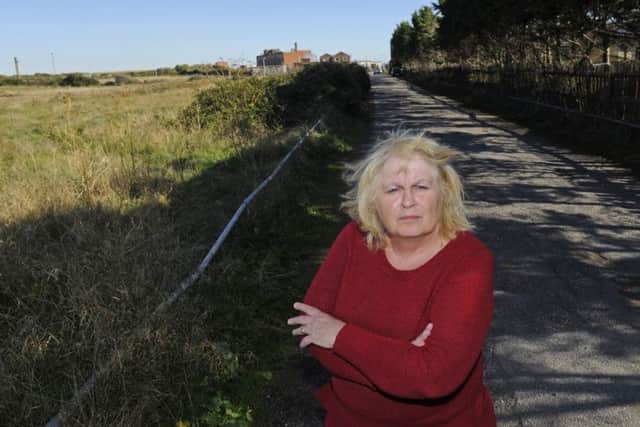 Hazel Parks is against plans by QinetiQ to redevelop an access road and land near Fort Cumberland at Eastney Picture Ian Hargreaves (161252-5)