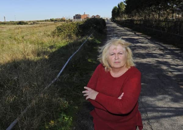 Hazel Parks is against plans by QinetiQ to redevelop an access road and land near Fort Cumberland at Eastney 
Picture Ian Hargreaves (161252-5)
