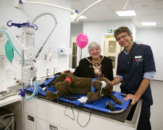 Daniele Saita demonstrates the new operating theatre to Mayor of Havant, councillor Faith Ponsonby at the new Vets4Pets, in Hayling