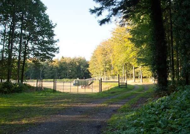 The site at Markwells Wood