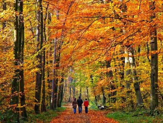 Discover great autumn walks