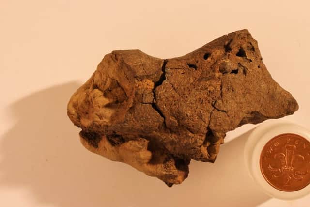 Fossil hunter Jamie Hiscocks found the first example of fossilised brain tissue from a dinosaur