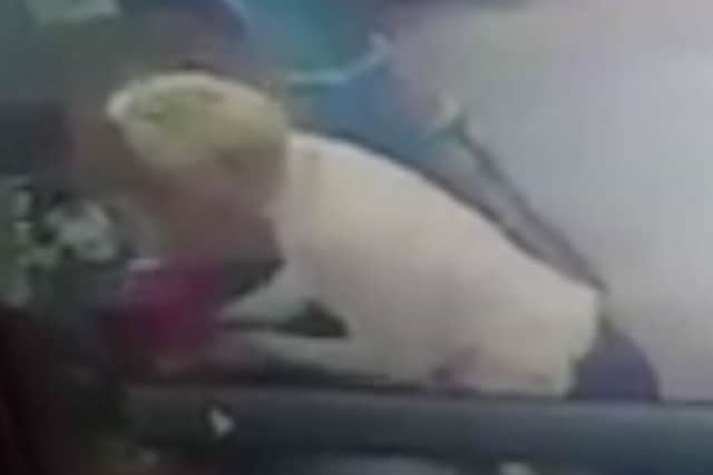 A woman who was in the pub at the time that the theft is believed to have taken place