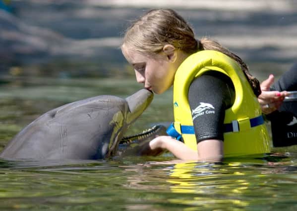 Melanie Cooper, 12, from Gosport, enjoys a swim with a dolphin during the Dreamflight visit to Discovery Cove in Orlando, Florida Picture: Steve Parsons/PA Wire