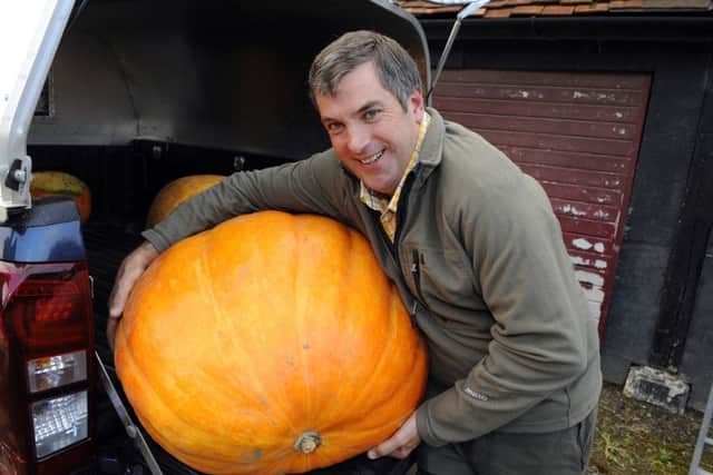 Denmead farmer Richard Windebank loads a pumpkin into his truck for his friend 19-year-old Henry Stride en-route to The 2016 Denmead Pumpkin Show organised by The Denmead Horticultural SocietyPicture:  Malcolm Wells (161025-3141)