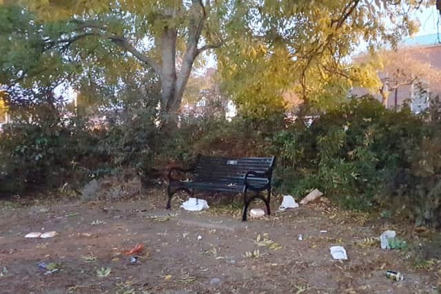 Litter strewn around the memorial bench in Paulsgrove