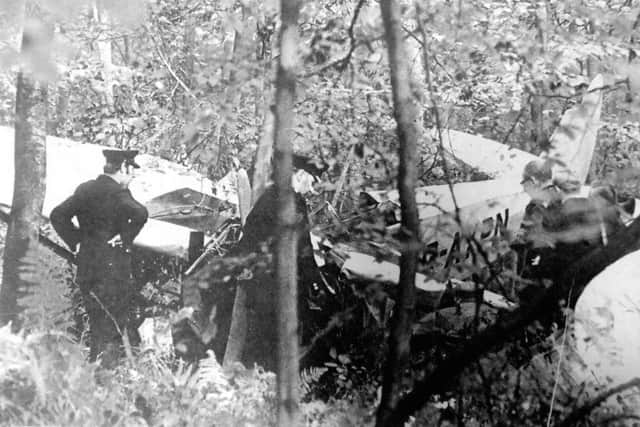 The wrecked plane in Queen Elizabeth Country Park (5234-2)
