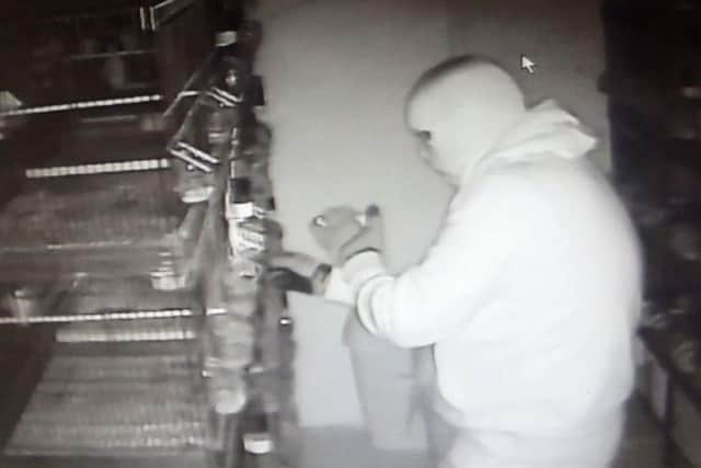 One of the masked burglars in the aviary