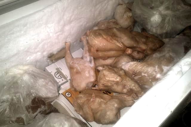 Unwrapped chicken exposed to risk of contamination from interior surfaces of freezerPictures taken to support the prosecution of Seavan Fried Chicken & Pizza House. Picture: Portsmouth City Council