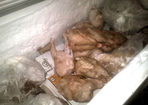 Unwrapped chicken exposed to risk of contamination from interior surfaces of freezer

Pictures taken to support the prosecution of Seavan Fried Chicken & Pizza House. Picture: Portsmouth City Council