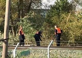 The tree being removed from the line. Credit: Dan O'Donnell/Facebook