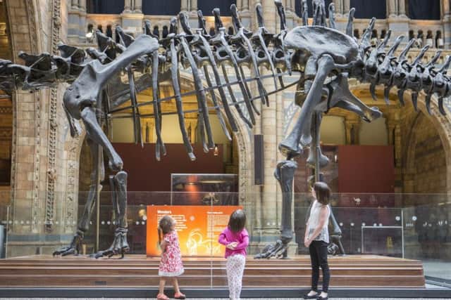 Photo credit: Lucie Goodayle Image Resources/The Natural History Museum/PA Wire