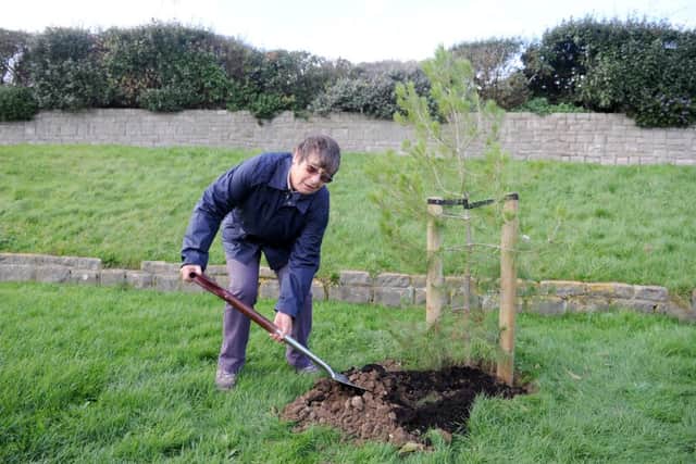 Pauline Powell, coordinator of Portsmouth and Southsea tree warden in action