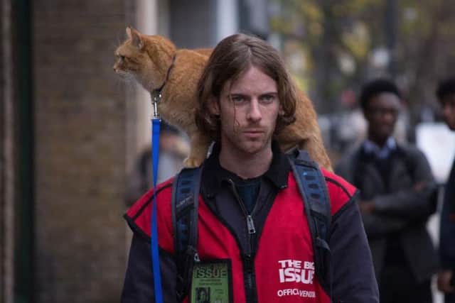 A scene from A Street Cat Named Bob