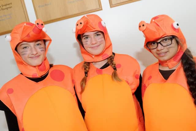 From left, Ella Gottesman, 12, Alfreda Collier, 13, and Atia Ahmed, 12, dressed as seahorses.
Picture: Sarah Standing (161572-3188)
