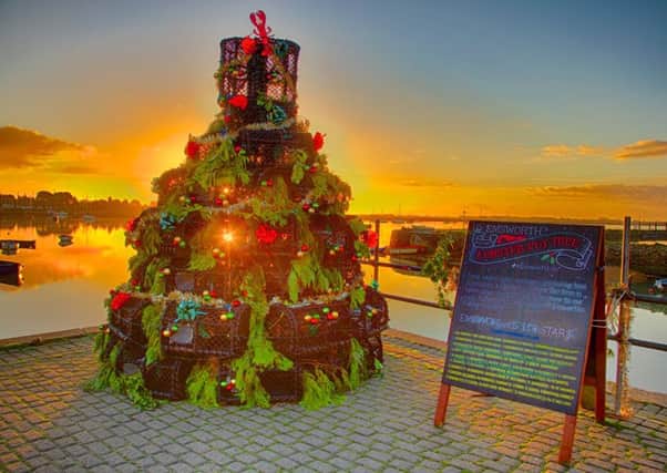The Lobster Pot Christmas Tree
in Emsworth