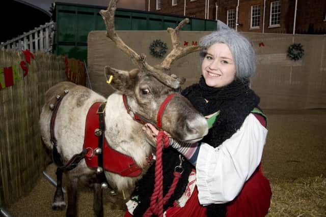 A reindeer at the Victorian Festival of Christmas in 2013