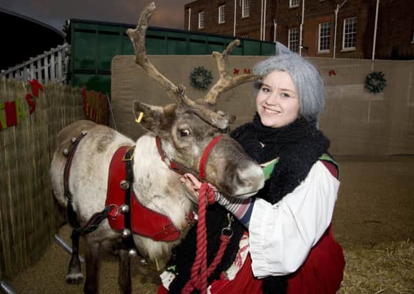 A reindeer at the Victorian Festival of Christmas in 2013