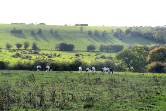 Campdown, in Havant, where it is feared the green space could be lost to housing