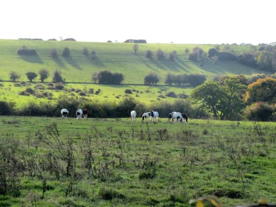 Campdown, in Havant, where it is feared the green space could be lost to housing