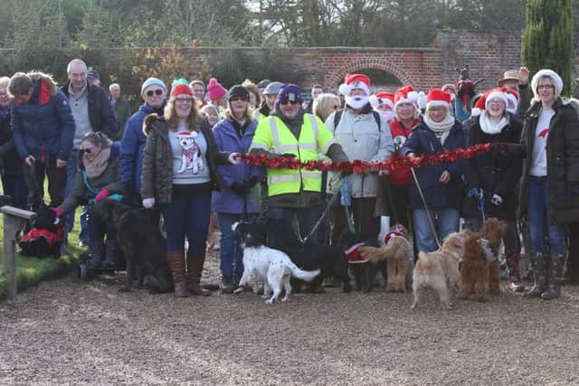 Dogs and their walkers at the start line
Picture: Habibur Rahman