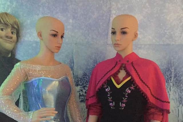 Wigs have been stolen from two Frozen mannequins at Keydell Nurseries