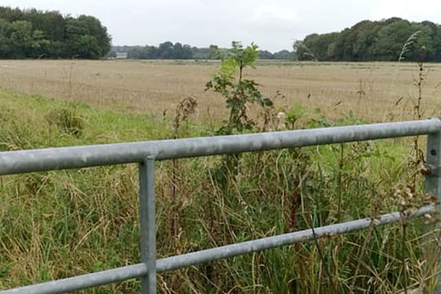 Markwells Wood