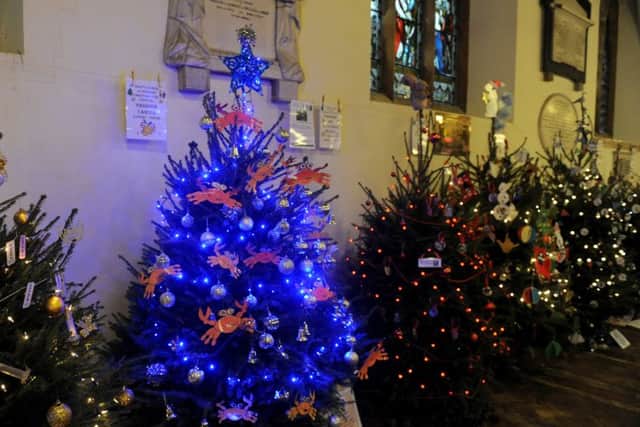 One of the many superb trees at the event
Picture: Sarah Standing (161632-8798)