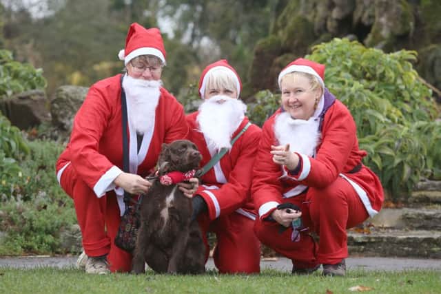 Shena Wright, Bev Scammell and Sue Leonard with Jac the dog