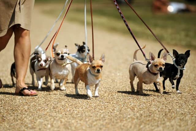 Dog walkers are facing new restrictions in Gosport if a public spaces protection order is introduced