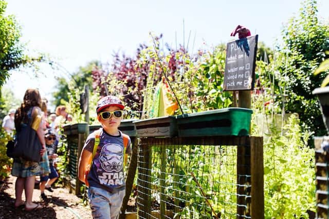 Matthew Clevelands entry to #keeppompeygreen