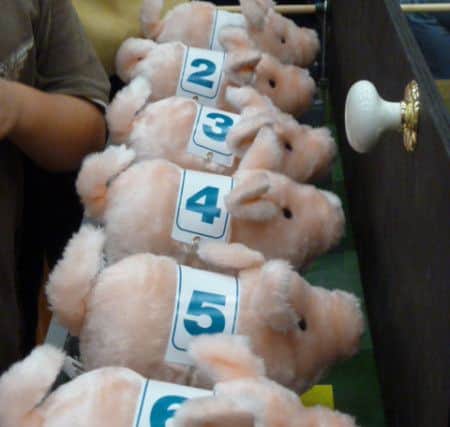 Hayling Island Businessmen's Club pig racing event