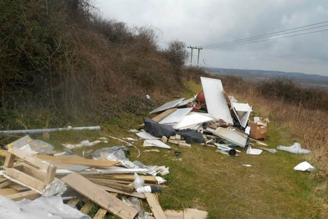 Rubbish fly-tipped by Michael Levy at Crooked Walk Lane, Southwick