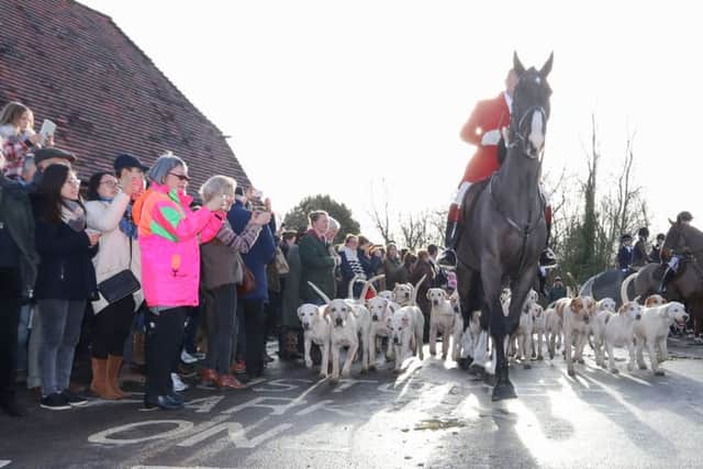 The Hursley Hambledon Hunt Picture: Habibur Rahman (161683-225)