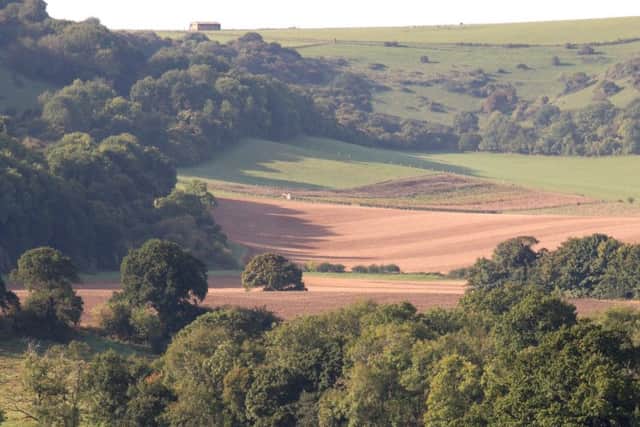 The South Downs National Park. Credit: Derek Martin